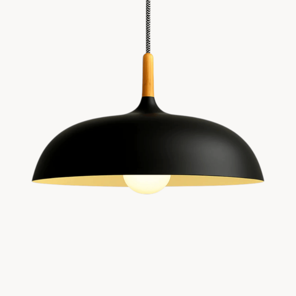LampeHub Noir / Sans ampoule Luminaire Suspension pour Salon